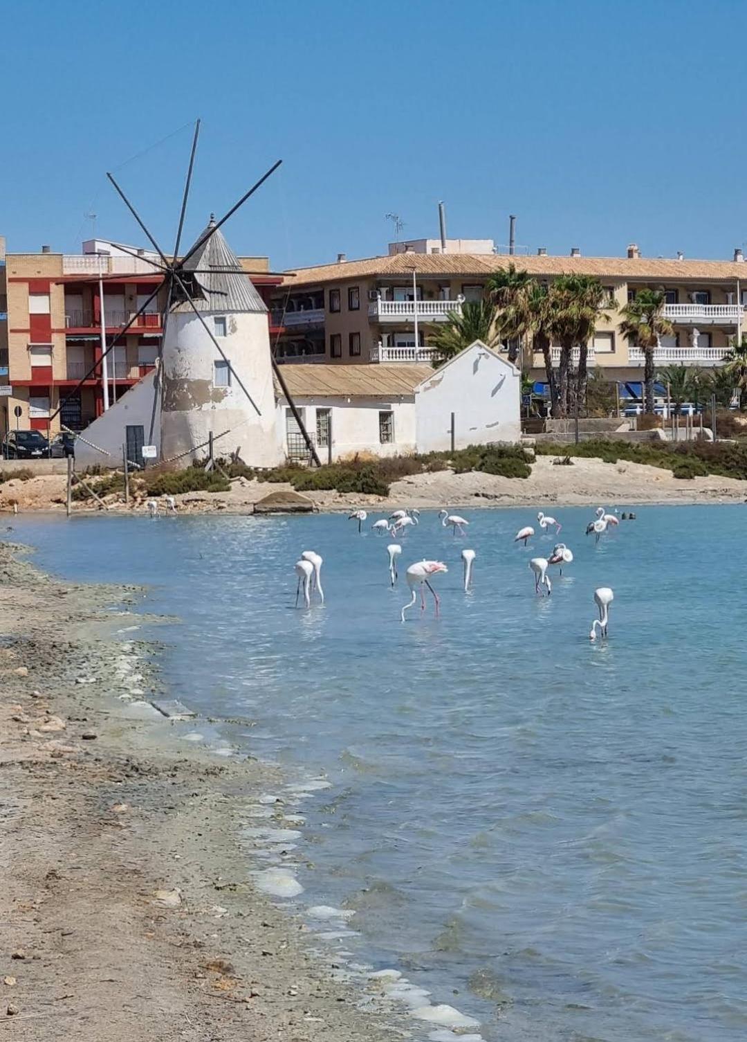 Apartament Casa Del Sol San Pedro del Pinatar Zewnętrze zdjęcie